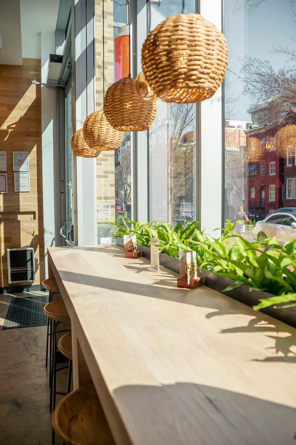 Sunlight falls across a welcoming café counter beside large windows and plants.